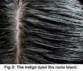 Sunnyvale Natural Indigo Hair Color Powder Dye you hair naturally black 4