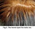 Sunnyvale Natural Indigo Hair Color Powder Dye you hair naturally black 4