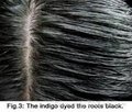 Sunnyvale Natural Indigo Hair Color Powder Dye you hair naturally black 5