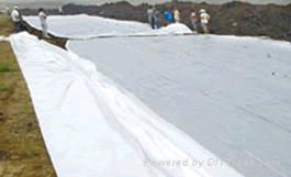 single-double side textured (LLDPE)Geomembrane