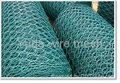 Hexagonal Wire Mesh 1