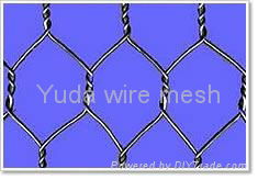 Hexagonal Wire Mesh 2