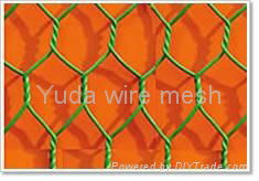 Hexagonal Wire Mesh 3