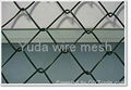 Chain Link Fence