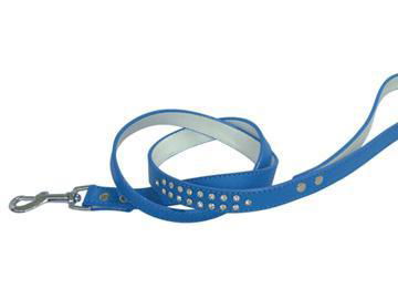 Pet Leash