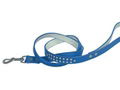 Pet Leash 1