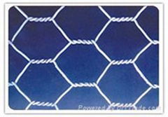 Hexagonal wire mesh