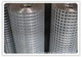 welded wire mesh 1