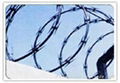 Razor barbed wire