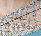 Razor barbed wire 3