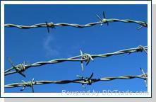 barbed wire 2