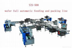 wafer packaging line