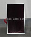 10Wp Amorphous thin film solar panels 1