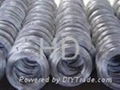 Galvanized Wire