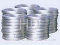 Galvanized Iron Wire