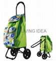 Foldable Shopping Trolley Bag