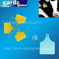 RFID ear tag for cattle 1