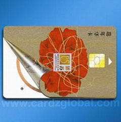 Dual Interface Card