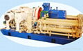 Natural Gas Booster Compressor 4