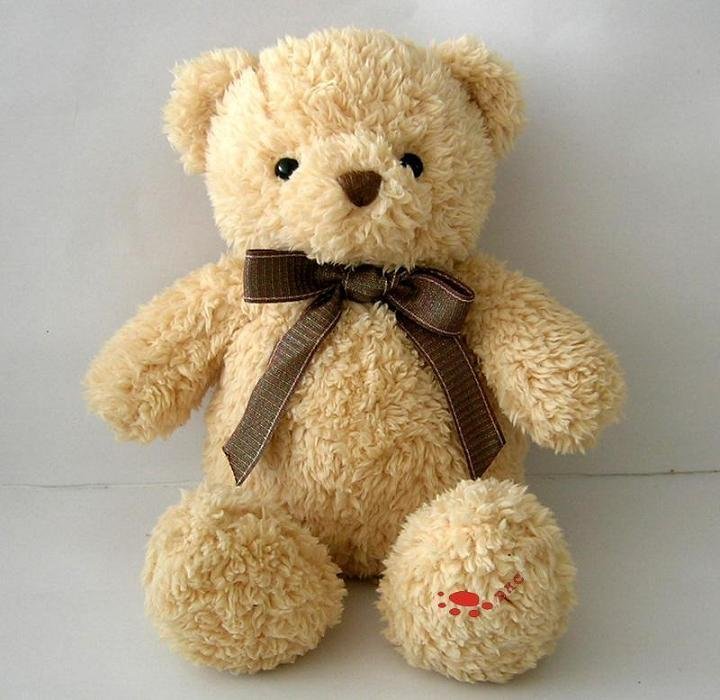 Plush teddy bear