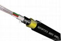 Outdoor Fiber Optic Cable: ADSS 1