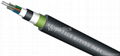 Outdoor fiber optic cables:GYTY53