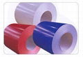 Colour Coated Steel Sheet in Coils 1