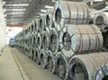 cold rolled steel sheet in coils(annealed) 2