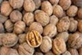 Walnuts 1