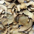 dried mushroom slice