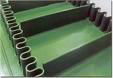 Sidewall conveyor belt