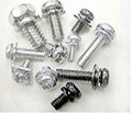 Assembled screws 1