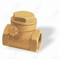 Brass Check Valves 1