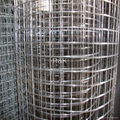 stainless steel welded wire mesh 4