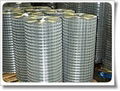 Welded Wire Mesh,Welded Wire Mesh Panels 1