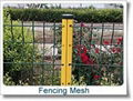 Fencing netting 2