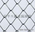 chain link fence     2