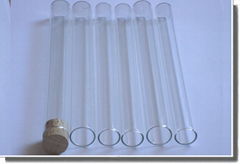 Test Tube