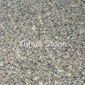 Peafowl Green granite G391 tiles,slates,vanity tops,tombstone 2