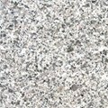 Shandong White Pearl granite tiles,slates,tombstone,vanity tops 5