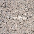MengShan Flower granite G376 tiles,slabs,vanity tops,tombstone 3
