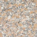 Cherry Flower Red granite tiles,vanity tops,tombstone,slate 5