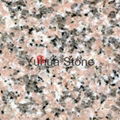 Cherry Flower Red granite tiles,vanity tops,tombstone,slate