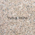  Pink Flower granite G378 tiles,slabs,tombstone,monuments,vanity tops 1