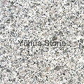 Crystal White Jade granite G355 tiles