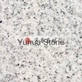 Shandong White Pearl granite tiles