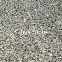 Amber Flower granite G379 tiles,slabs,tombstone,vanitytops