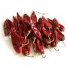 Dry Red Chilli 2