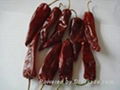 Dry Red Chilli Whole,dry red chilli