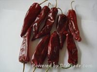 Dry Red Chilli Whole,dry red chilli,dried chili,dry red pepper whole